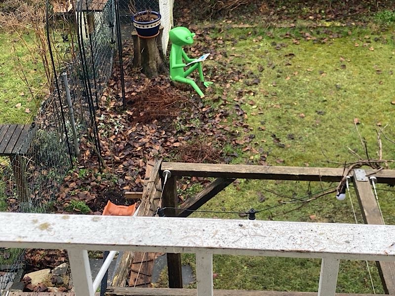 Blechfrosch-Skulptur im Garten